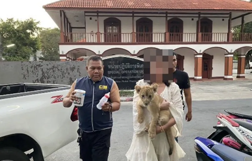 中国籍女老板偷偷养狮子    被捕