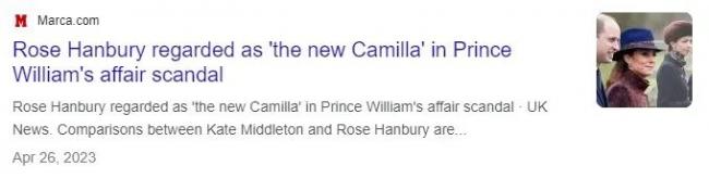 威廉王子最新声明没用夫妻名义 越扒越不对劲