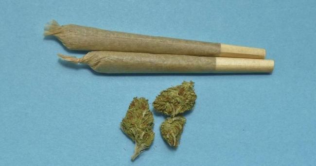 大麻使用法案规定   个人可种3株  持有25克