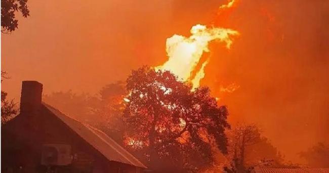 澳大利亚发生最严重火灾  3万人撤离