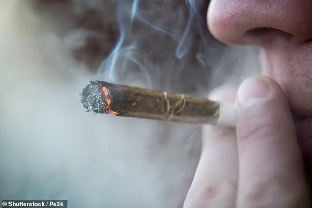 最新研究：任何形式吸食大麻都有严重后果
