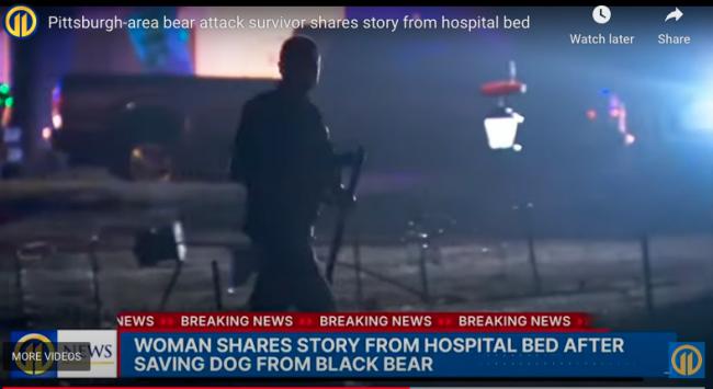 恐怖一幕：4只黑熊闯入后院 扑倒了55岁的妇人…