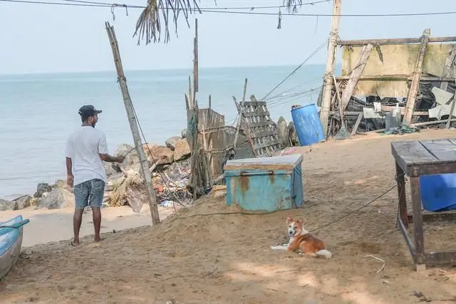 尼甘布之行：渔村探索与海鲜市场漫游