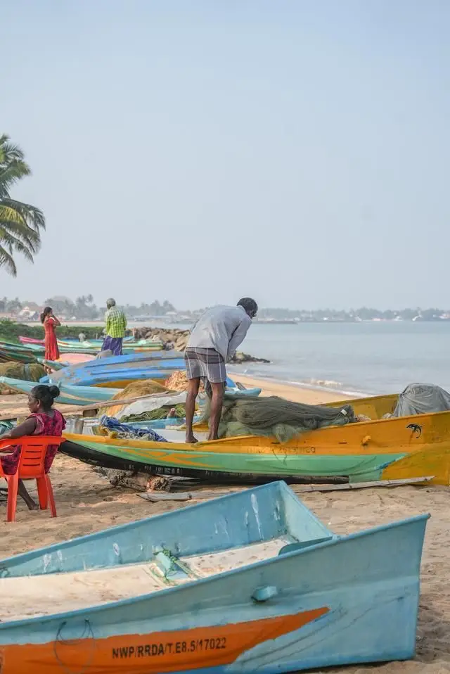 尼甘布之行：渔村探索与海鲜市场漫游