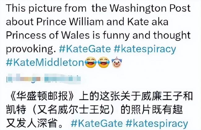 外媒发图暗示凯特被控制！威廉有暴力倾向