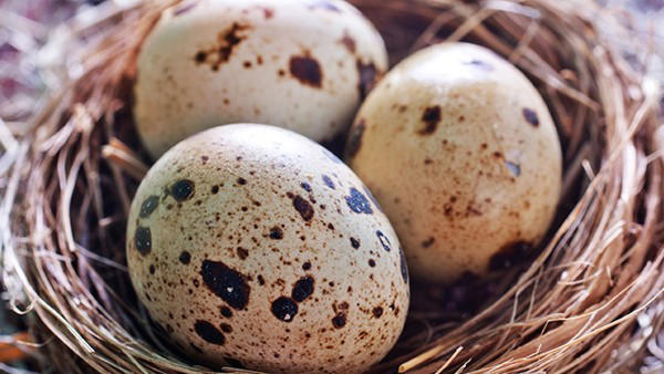 鸡蛋这样吃竟会导致白发脱发?