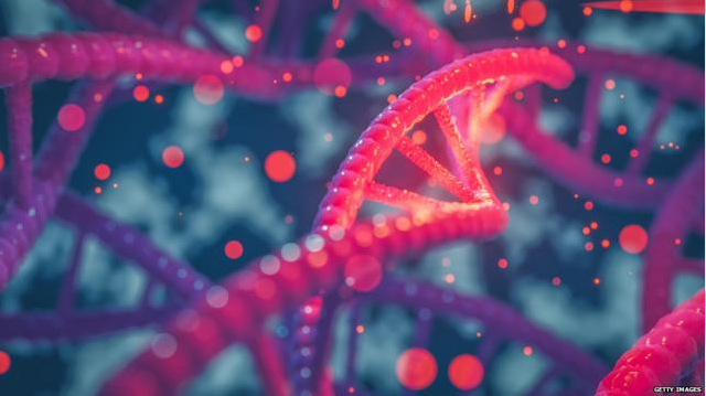 新发现：人类基因其实并非生命的蓝图？