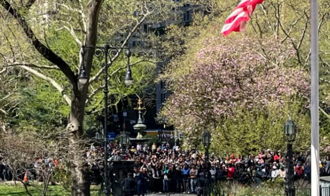 听闻“露面就发绿卡”，上千黑人“包围”纽约市议会厅