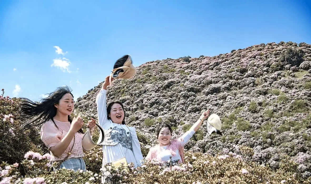 贵州乌蒙大草原：人间四月芳菲正是踏春好时节