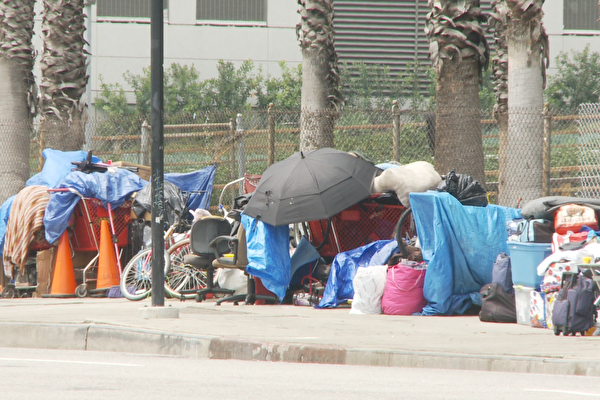 花费00万 长滩2024年无家可归者仅减少71人