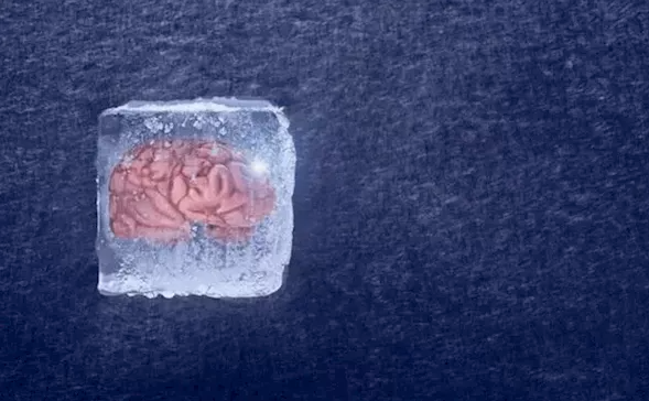 中國「冰封人腦」重大突破網友驚呼:《三體》成真