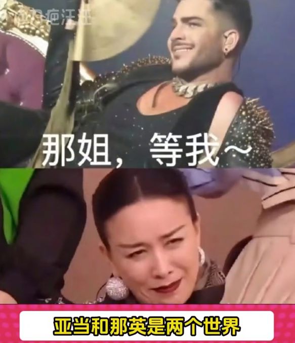 外国知名音乐人辣评那英:音准差 没技巧 外国知名音乐人辣评那英:音准差 没技巧
