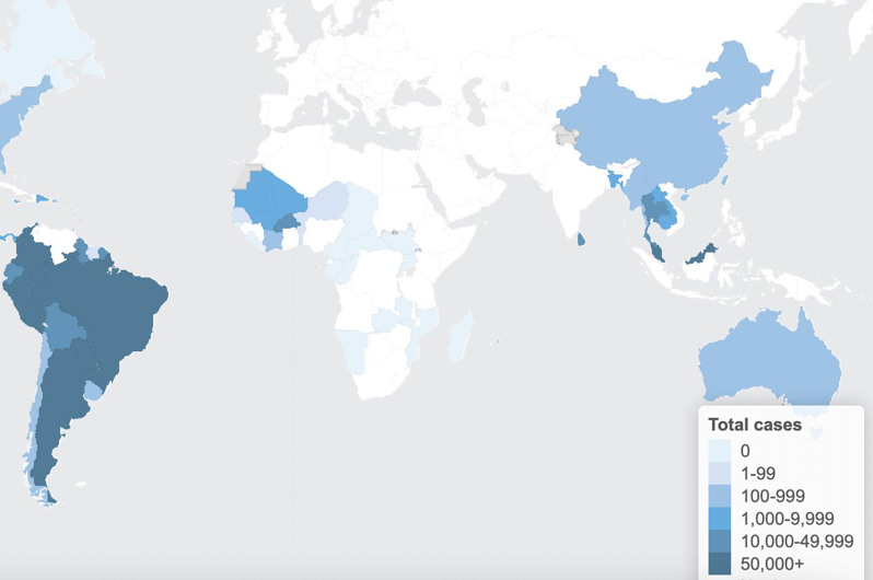 WHO全球登革热监测网站（Global dengue surveillance）。 （图/取自WHO官网）