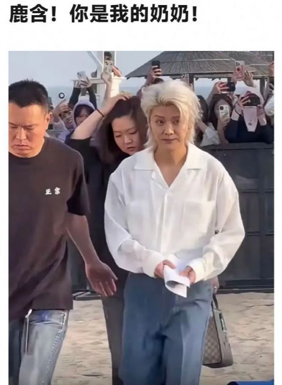34岁鹿晗脸肿成“老嫂子” 撞脸65岁刘雪华? 34岁鹿晗脸肿成“老嫂子” 撞脸65岁刘雪华?
