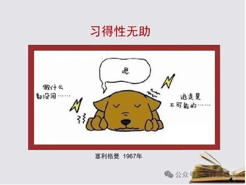 别被他们说的“躺平”给忽悠了 别被他们说的“躺平”给忽悠了