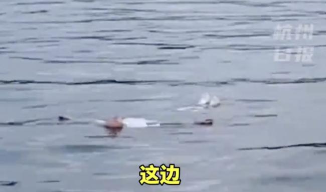 女子西湖溺水“躺平”自救 快艇赶到救上岸 女子西湖溺水“躺平”自救 快艇赶到救上岸