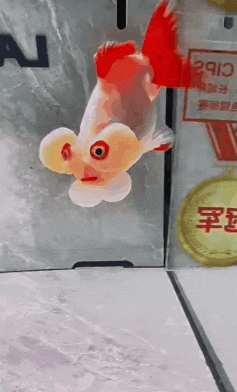 年輕人怎麼開始流行養醜魚了？