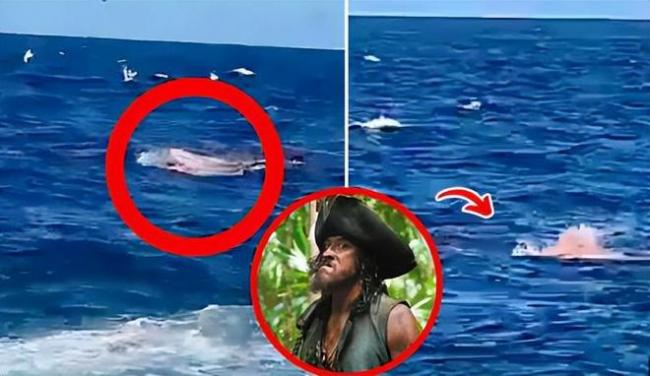 噩耗! 49歲演員佩里遭鯊魚攻擊身亡被咬掉手腿 噩耗! 49歲演員佩里遭鯊魚攻擊身亡被咬掉手腿