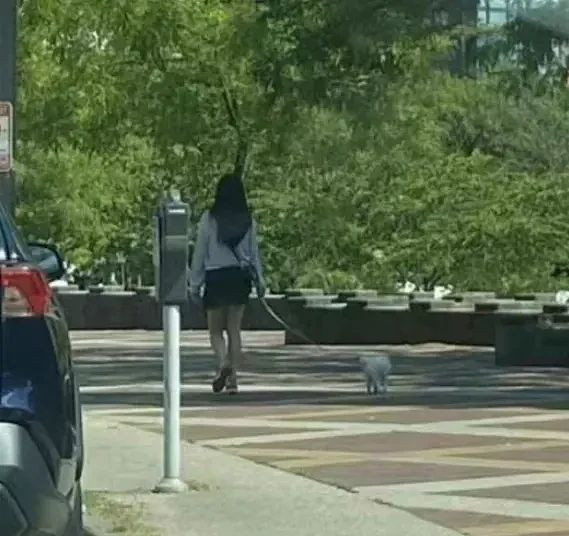 惊艳!王祖贤现身加拿大街头 穿短裙秀美腿 惊艳!王祖贤现身加拿大街头 穿短裙秀美腿