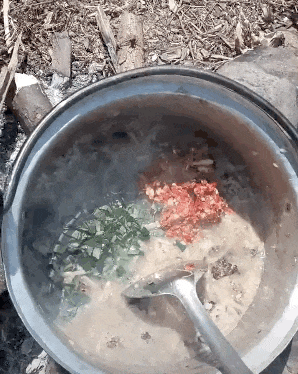 老鼠烂饭,云南佤族的轻奢食物 老鼠烂饭,云南佤族的轻奢食物