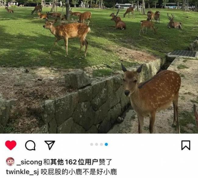 王思聪带女友现身成人店 偷偷点赞前女友美照 王思聪带女友现身成人店 偷偷点赞前女友美照