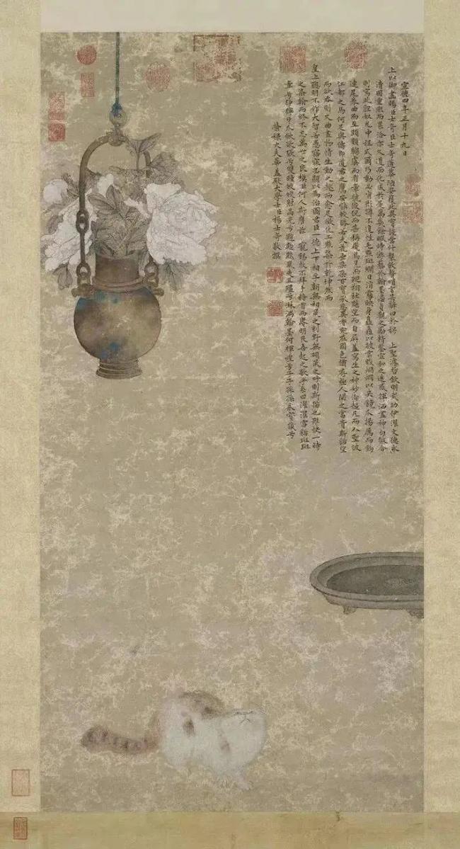 撸猫正史 撸猫正史