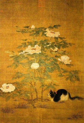 撸猫正史 撸猫正史