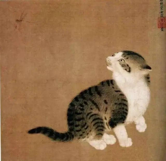 撸猫正史 撸猫正史
