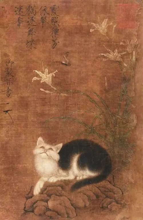 撸猫正史 撸猫正史