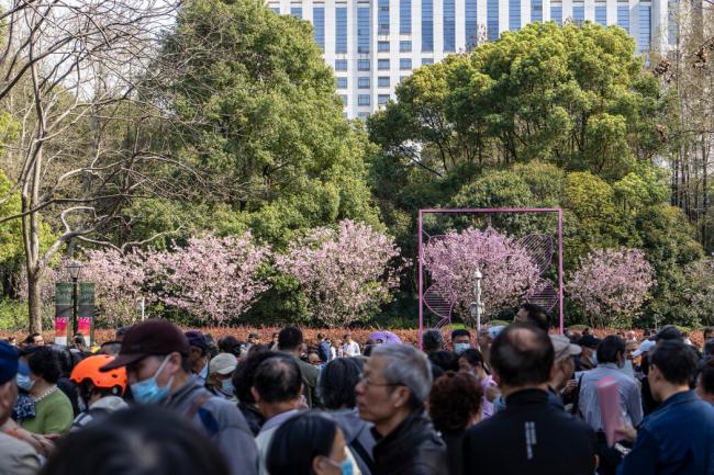 这些上海人   在人民公园和宜家餐厅寻找爱情