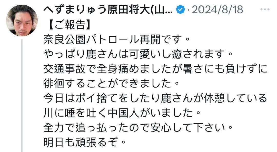 中国游客日本踢鹿被骂，连声说Sorry？真相是…