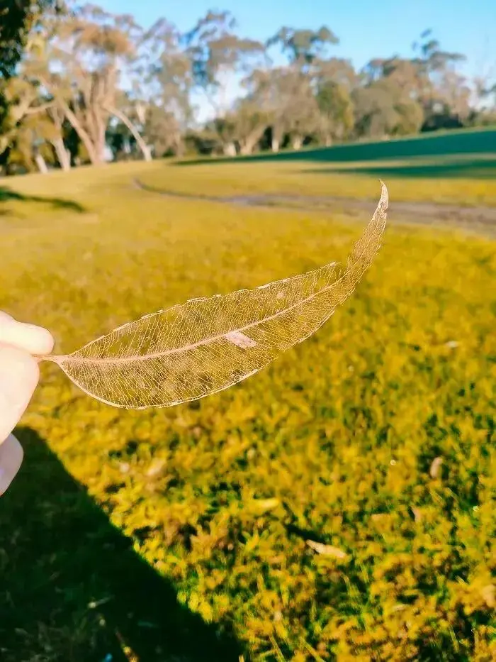 试问苍天饶过谁 20张图片看时间的力量有多恐怖