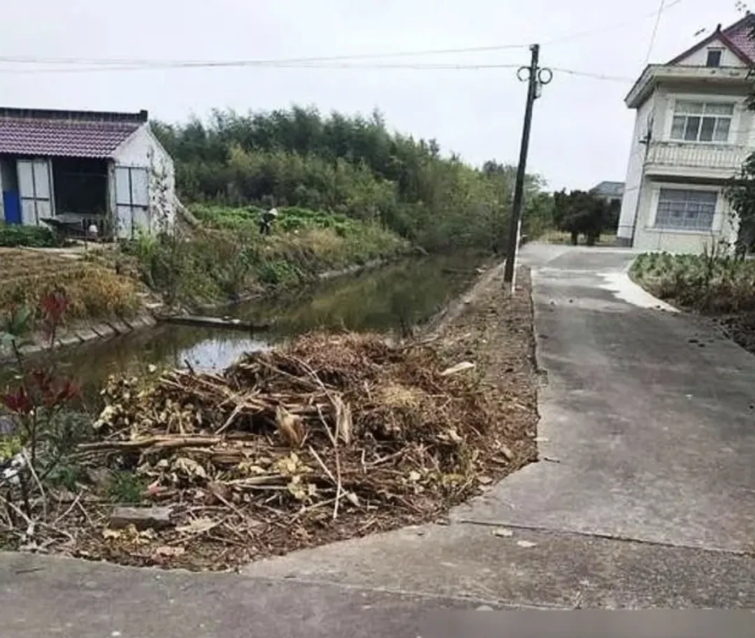 网格员之死：一个农村女大学生的非典型奋斗史