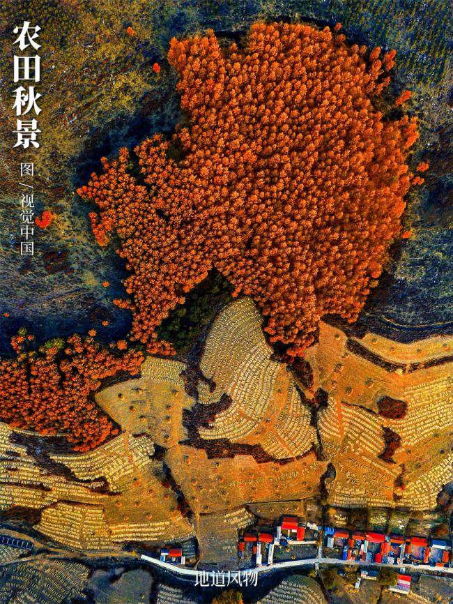 最极致的枫叶秋景,都凝聚在这座东北县城 最极致的枫叶秋景,都凝聚在这座东北县城