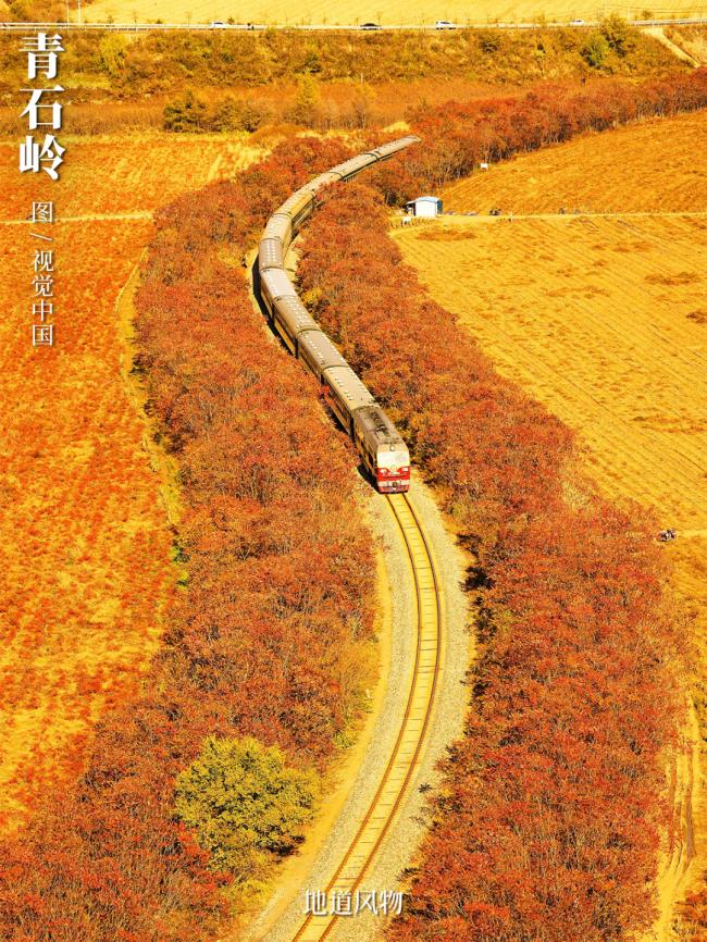 最极致的枫叶秋景,都凝聚在这座东北县城 最极致的枫叶秋景,都凝聚在这座东北县城