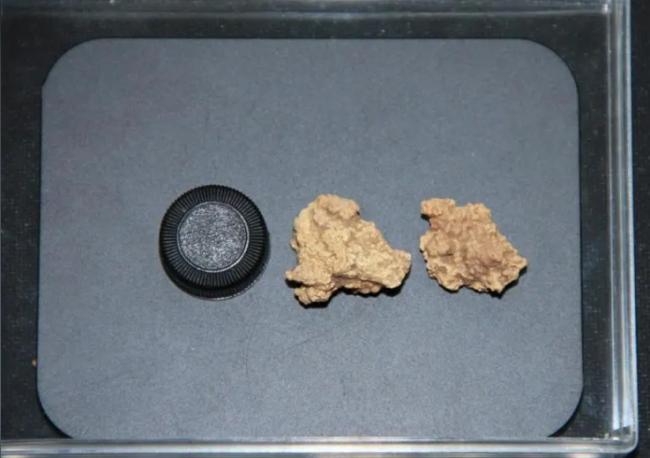 3500年的木乃伊头上 科学家有了新发现