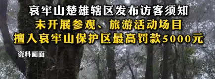 哀牢山最诡异一幕，根本不是跟在身后的熊…