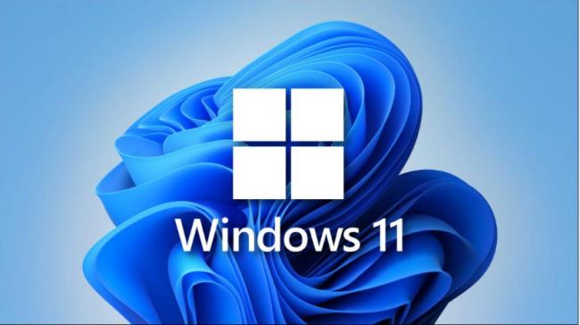 最新版Windows11删除29年经典功能