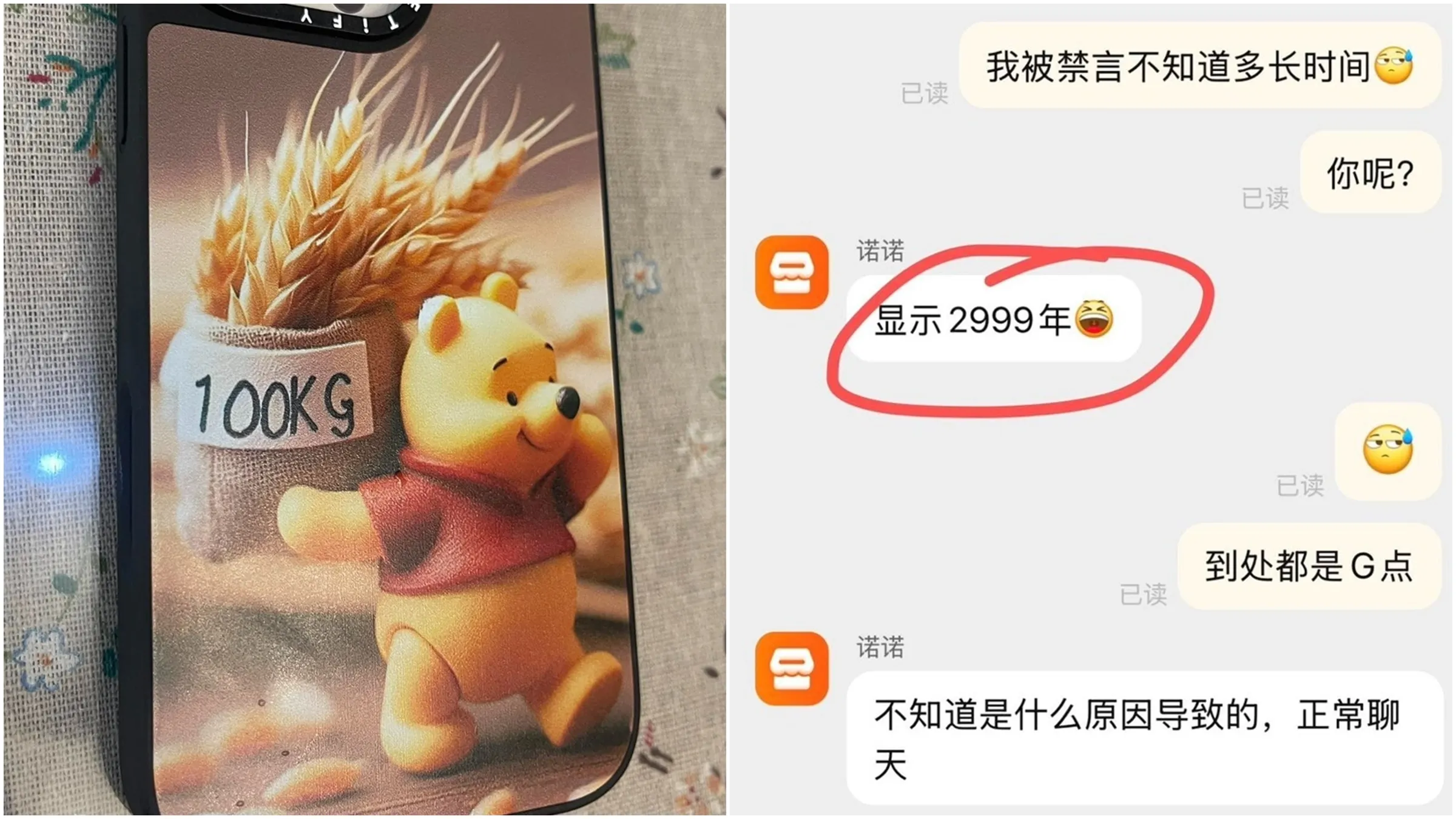 “踩习近平红线” 他遭禁言2999年