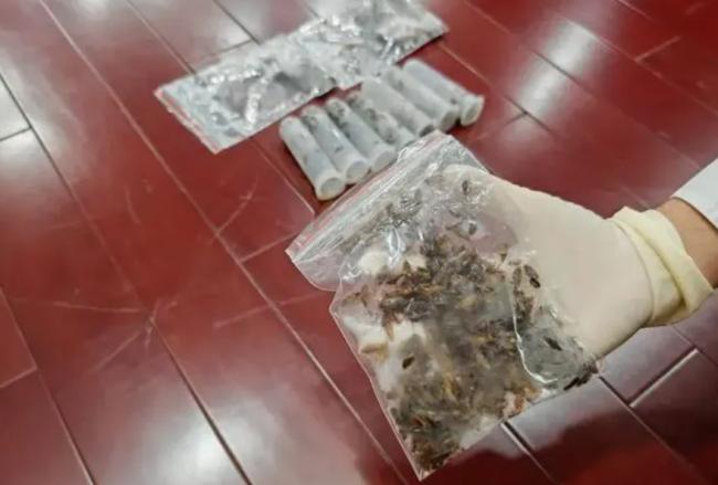 3000多只…中国海关在入境船上发现大批活体生物 3000多只…中国海关在入境船上发现大批活体生物