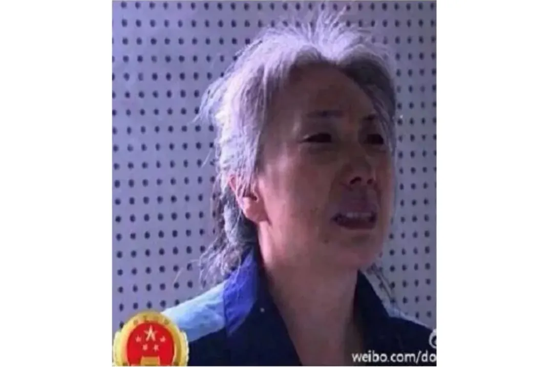 十八大之后落马的第一个省部级女官员，一夜白头