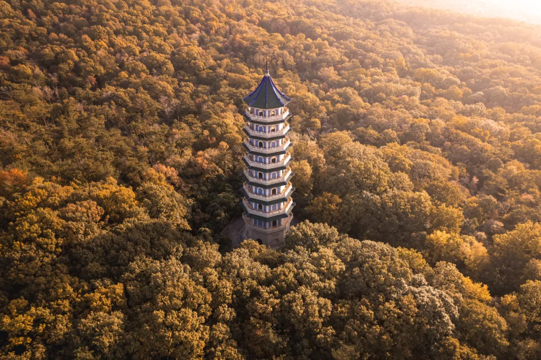 高铁直达！国内秋景天花板就在这座千年古城