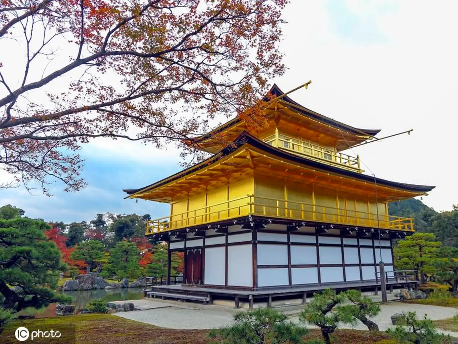 赏秋 金阁寺“枫”情万种古建筑与红叶相伴美赞