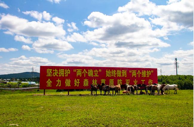 “习思想”不见了