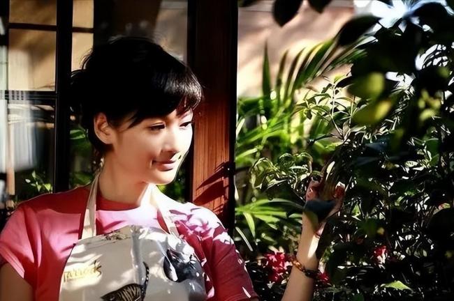 她是“凤凰卫视第一美女” 有大佬为其花1000万 她是“凤凰卫视第一美女” 有大佬为其花1000万
