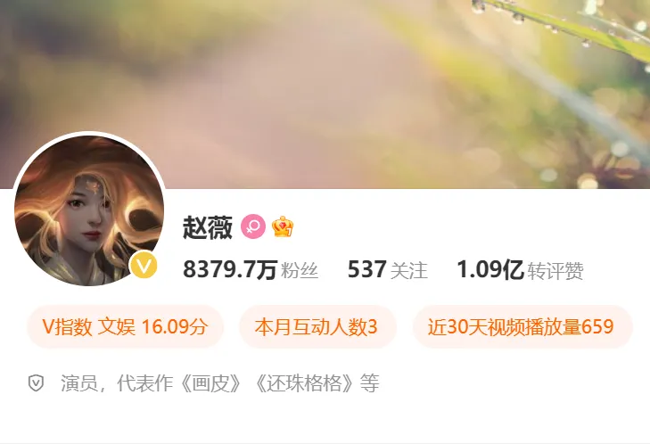 被强制执行8488元的赵薇，是如何到这一步的