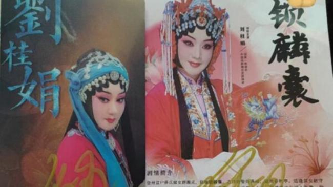 “侮辱英烈” 中国著名女演员遭停演 “侮辱英烈” 中国著名女演员遭停演