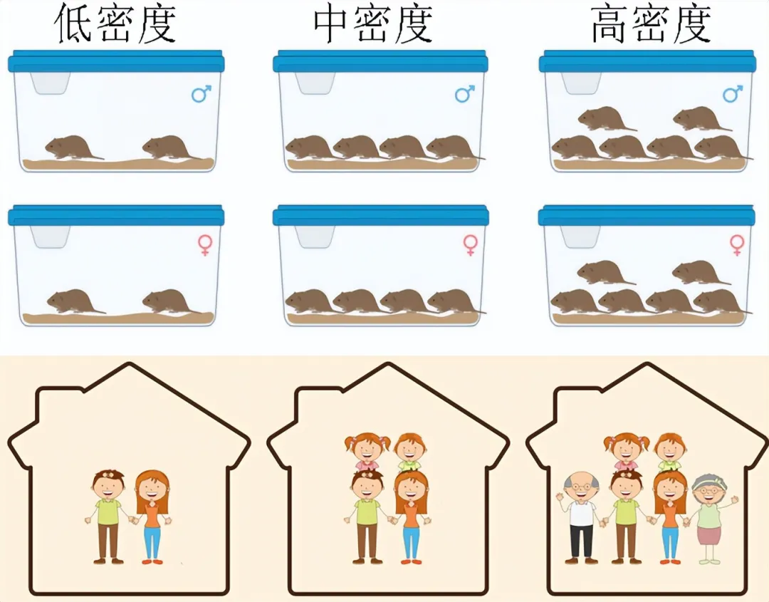 中国科学院的专家说，住小房子缩短寿命……