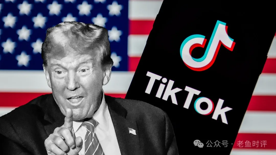 ΪͻȻͣtik tokƲã