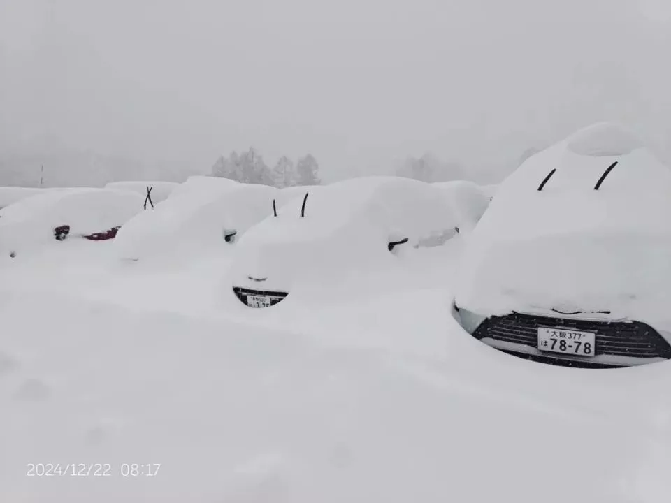 中国游客滑雪窒息身亡，“粉雪”有多险？